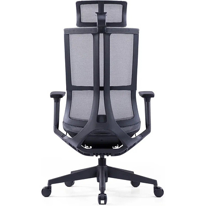 Кресло для руководителя SitZone E-303-001A-P1-BK сетка, черный - 4