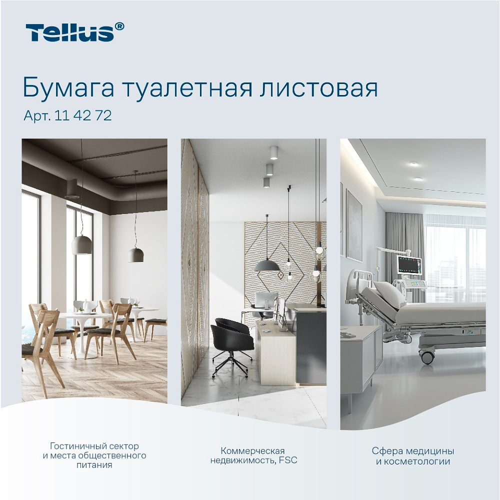 Бумага туалетная  Tellus Стандарт, TР3, листовая, 250 листов, 1 слой - 13