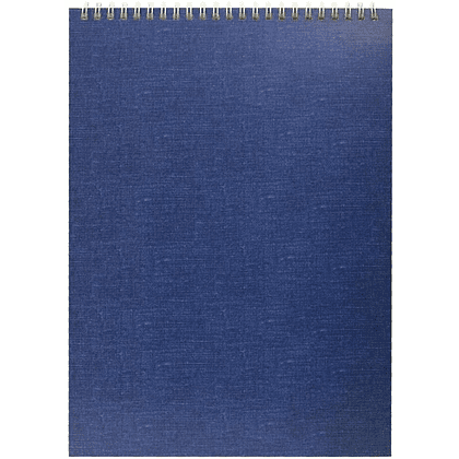 Блокнот "Эконом", A4, 40 листов, клетка, синий (979953)
