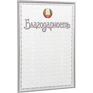 Благодарность С48, А4, 250 г/м2