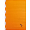 Блокнот на спирали "Linicolor Fresh", A4, 90 листов, клетка, ассорти - 3