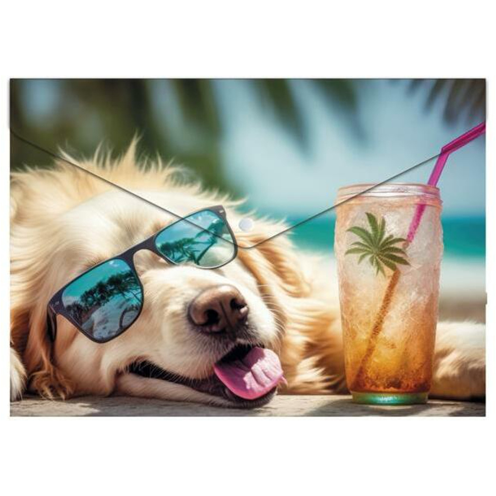 Папка-конверт на кнопке "Chillout dog", А5, разноцветный