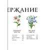 Книга "Цветы в искусстве. Воспевание красоты" - 4