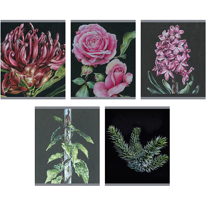 Тетрадь "Nature drawing (Эксклюзив)", А5, 96 листов, клетка, ассорти 