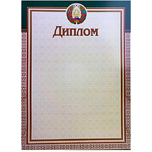 Диплом без степени "13С319"