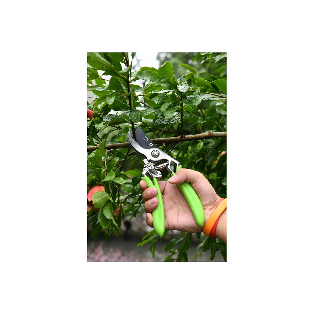 Секатор садовый цельнокованный Deli GS EDL580207, пружина, тефлон, 215 мм., черный, зеленый - 11