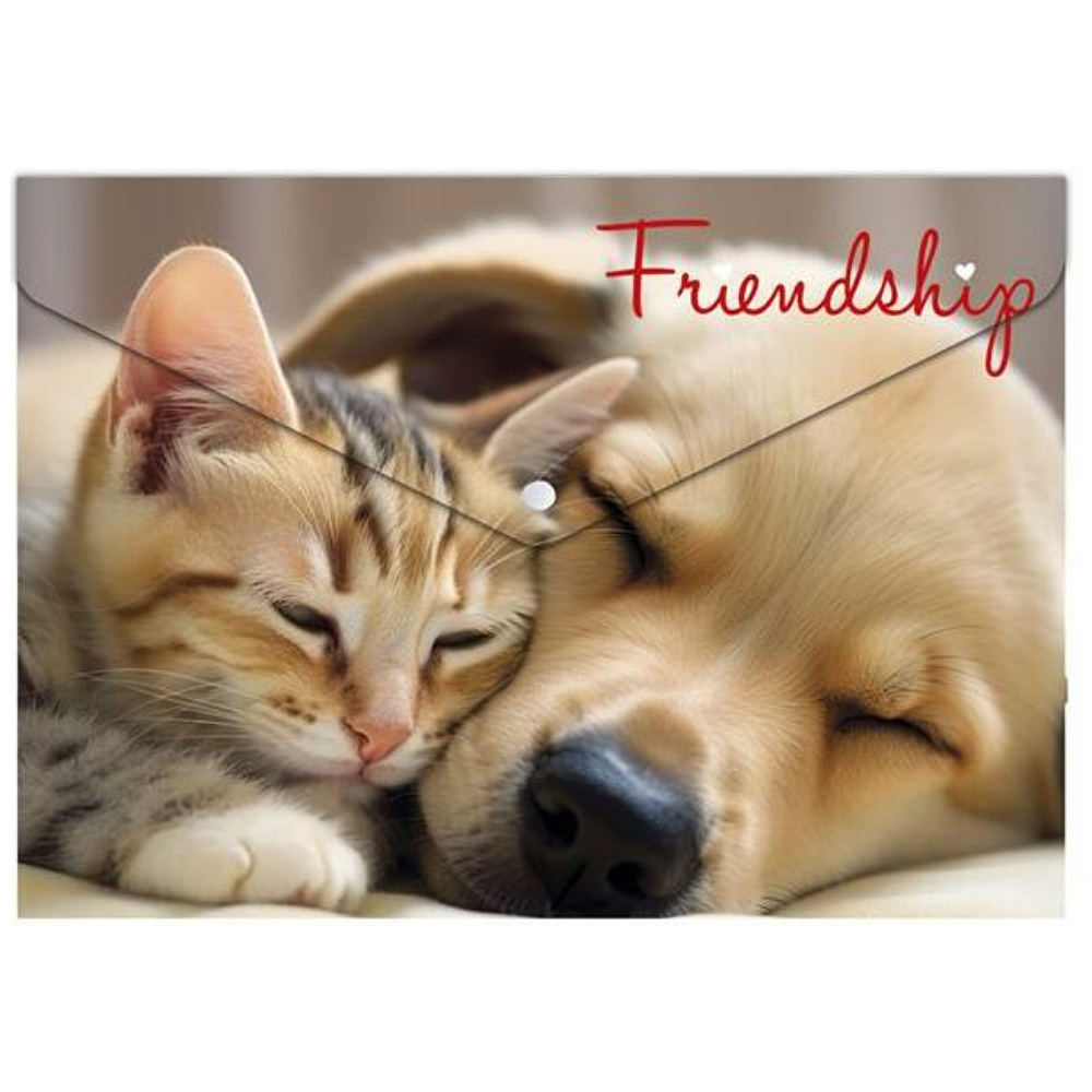 Папка-конверт на кнопке "Friendship", А5,  разноцветный