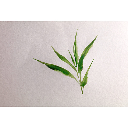Блок-склейка "Bamboo", А5, 250г/м2, 20 листов - 4