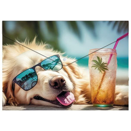 Папка-конверт на кнопке "Chillout dog", А5, разноцветный