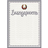 Грамота С25, А4, 250 г/м2 - 11