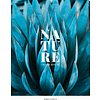 Тетрадь "Nature", А4, 48 листов, клетка, ассорти - 2