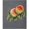 Блок бумаги для пастели "PastelGrain" 4 оттенка, 18х24см, 360 г, 12 листов, №1 - 5