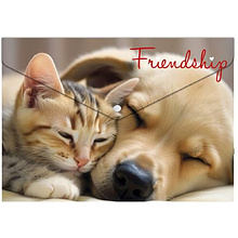 Папка-конверт на кнопке "Friendship"