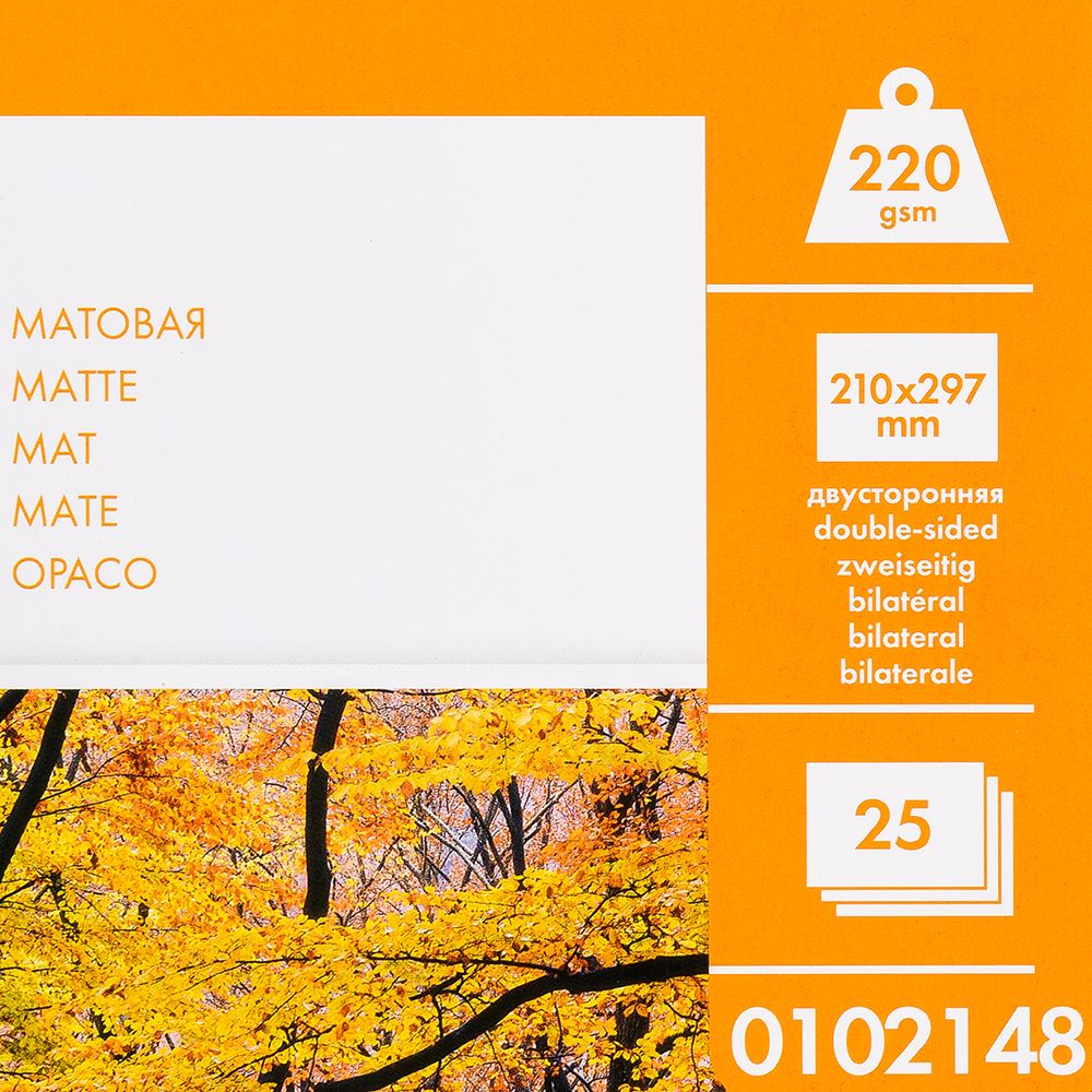 Фотобумага матовая для струйной фотопечати "Lomond", А4, 25 листов, 220 г/м2 - 2